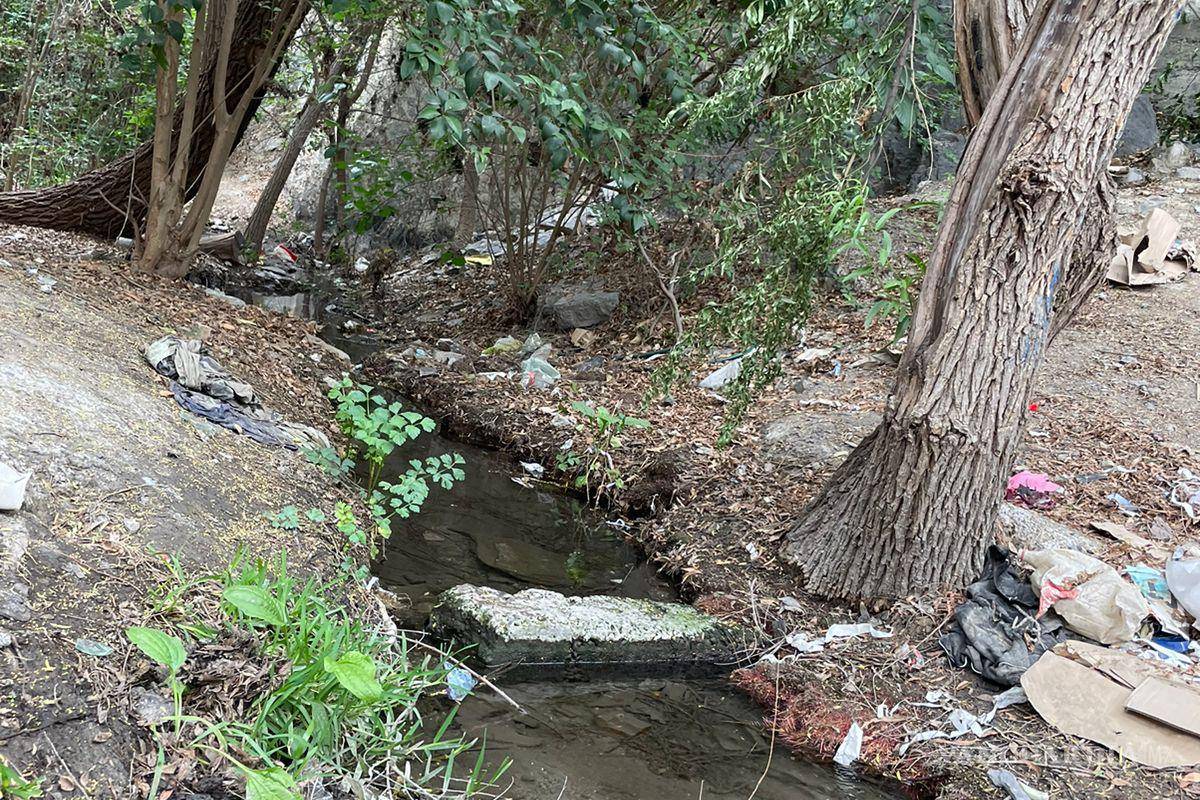 Alto grado de contaminación del Pozo Azul vuelve letal entorno para Carpita de Saltillo