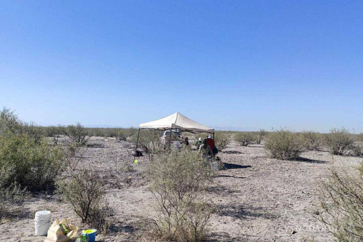 $!Las exploraciones ocurrieron en el ejido Patrocinio.