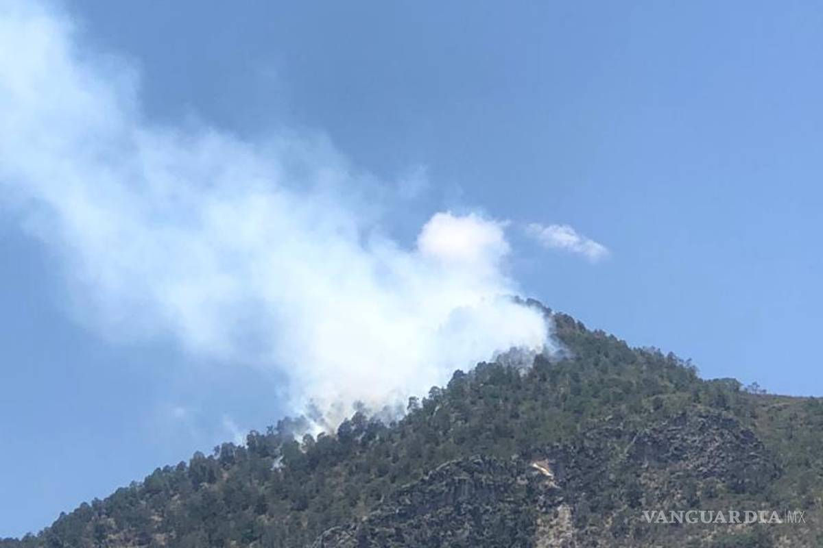 $!Autoridades expresaron que las brigadas de combate comenzarán este jueves a las 6:00 de la mañana.