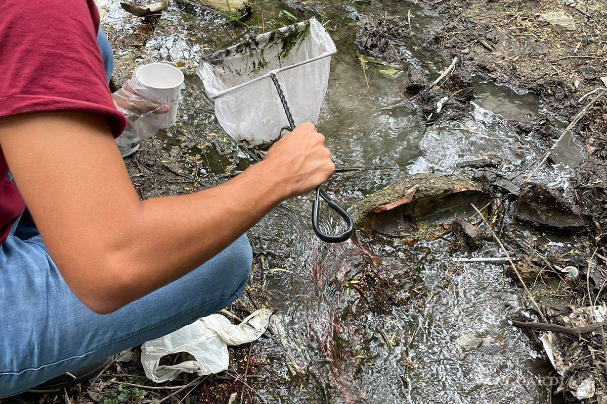 Alto grado de contaminación del Pozo Azul vuelve letal entorno para Carpita de Saltillo