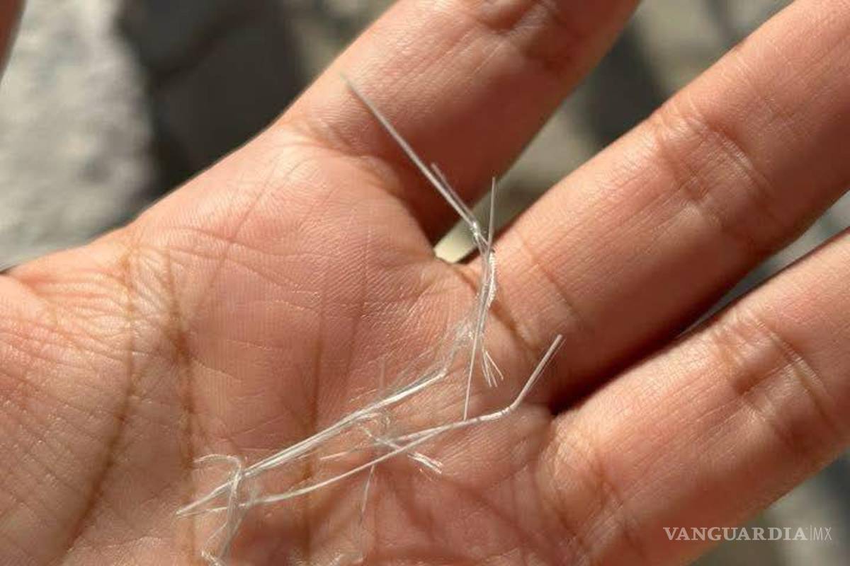 Vecinos reportan caída de residuos tras incendio en planta automotriz, en Ramos Arizpe (video)