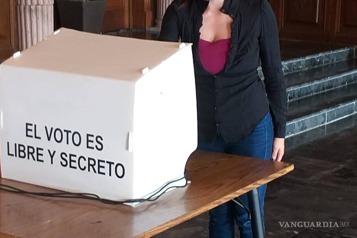 Consejo Ciudadano de Cultura elige a nuevos integrantes