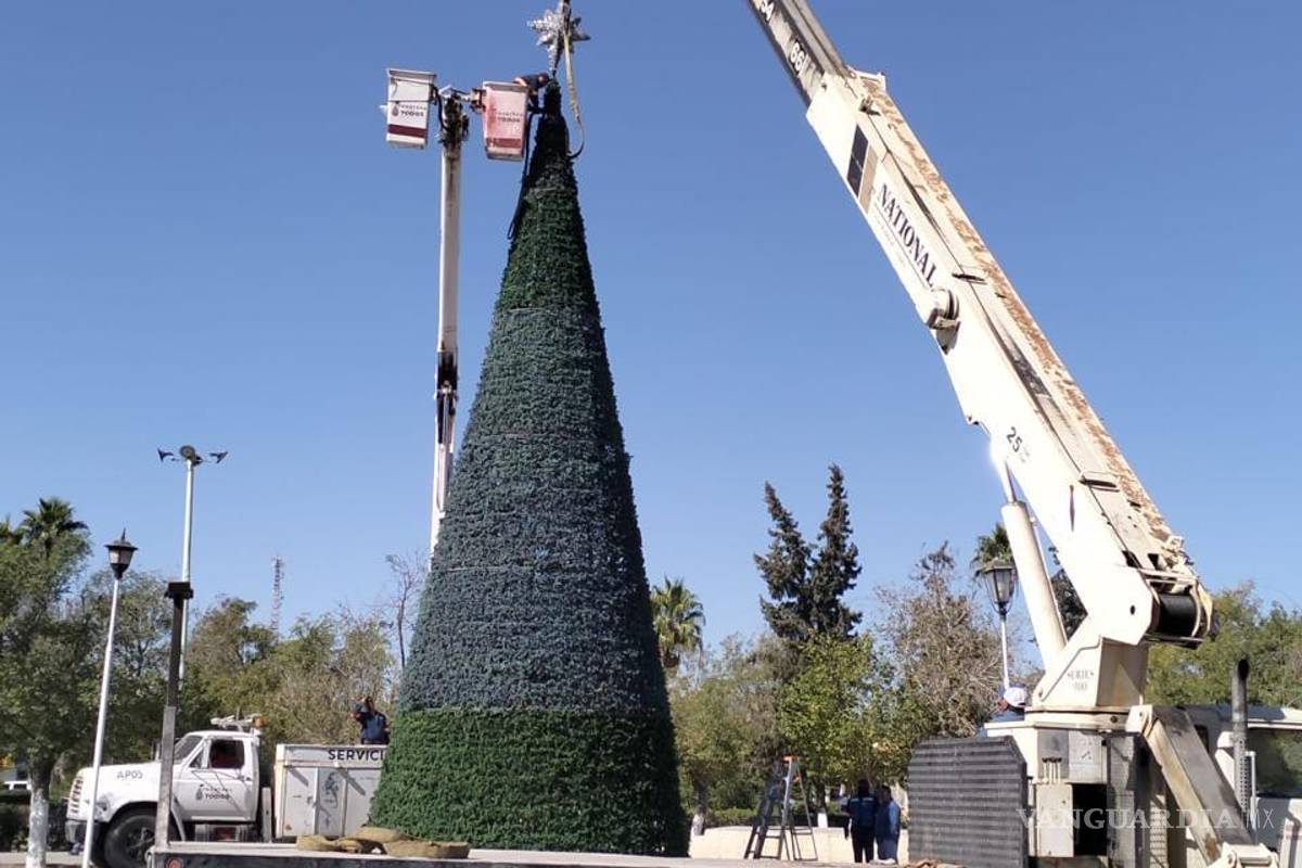 Arranca la magia: Frontera inicia instalación del Pino Navideño en Plaza Principal