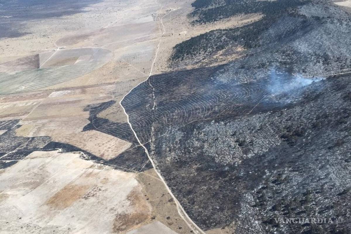 Controlado incendio cerca de Arteaga; consumió 230 hectáreas