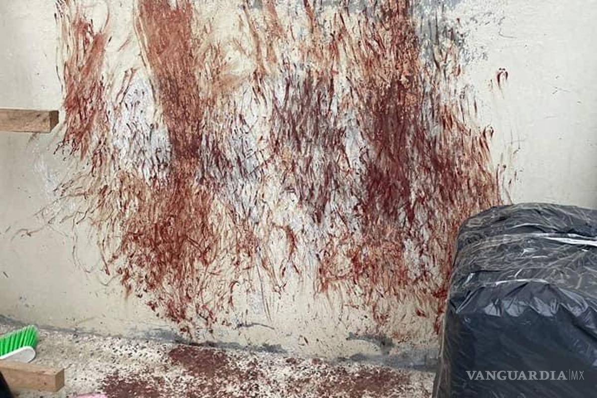 A dos días de Noche Buena continúa búsqueda de cachorros que huyeron por pirotecnia en Saltillo