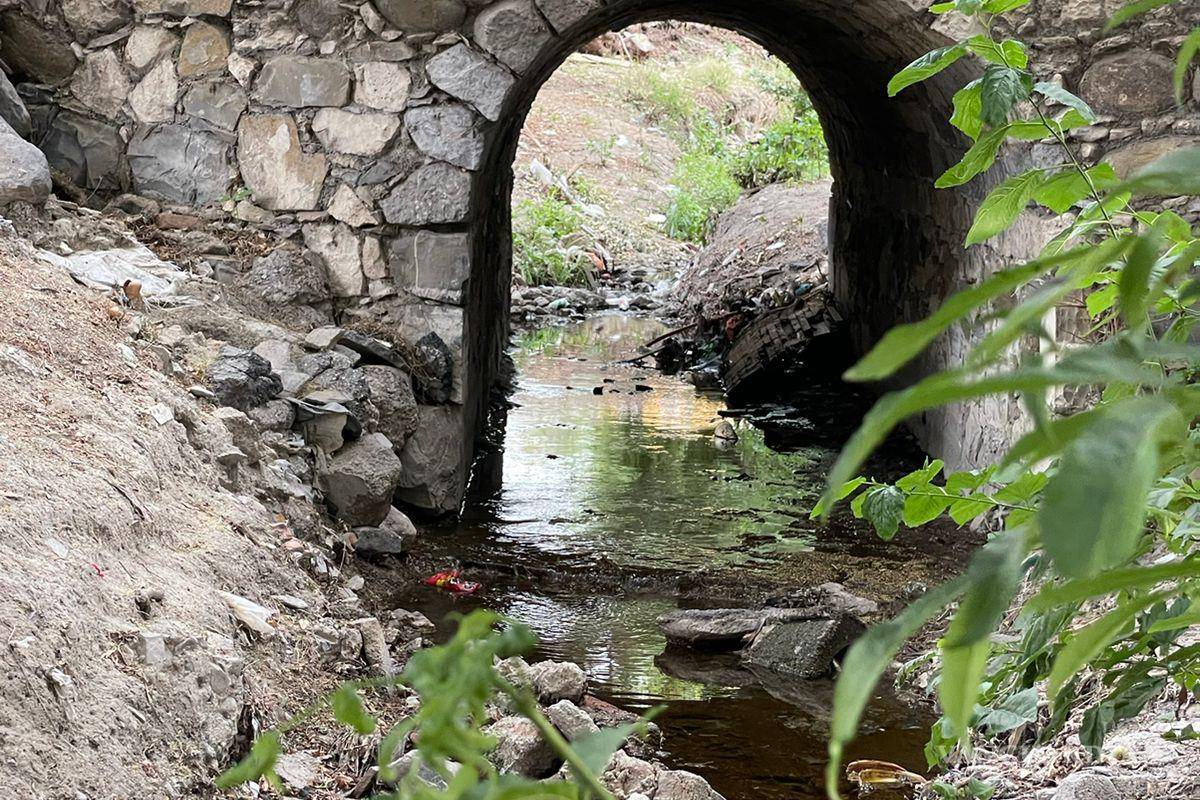 Alto grado de contaminación del Pozo Azul vuelve letal entorno para Carpita de Saltillo