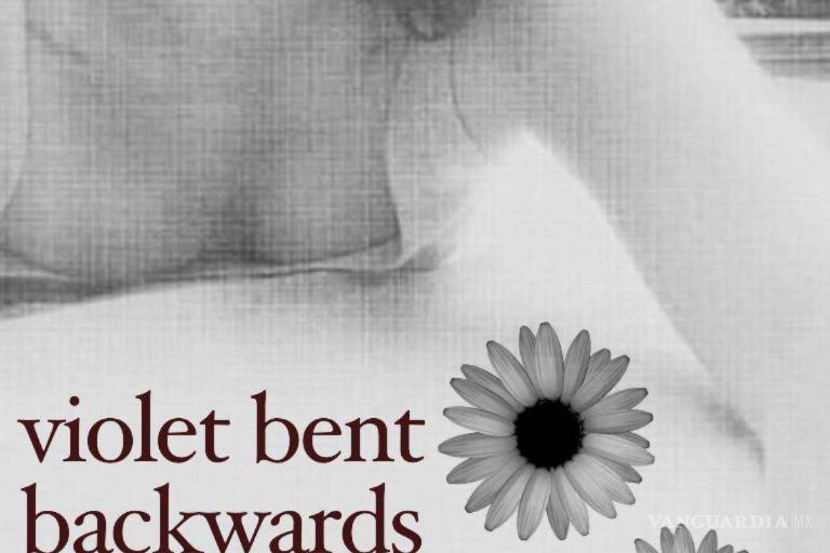 Debuta Lana del Rey como escritora en &quot;Violet Bent Backwards Over the Grass”