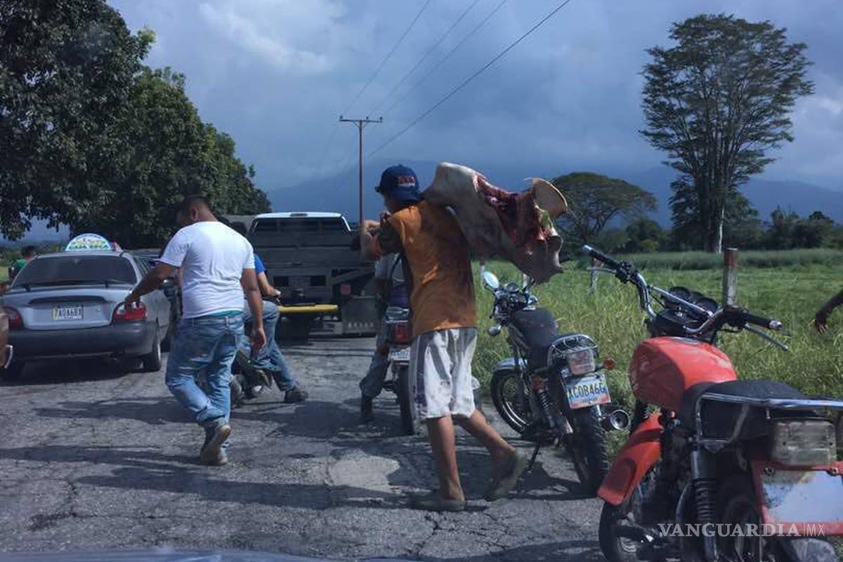 Video de venezolanos cazando una vaca se hace viral