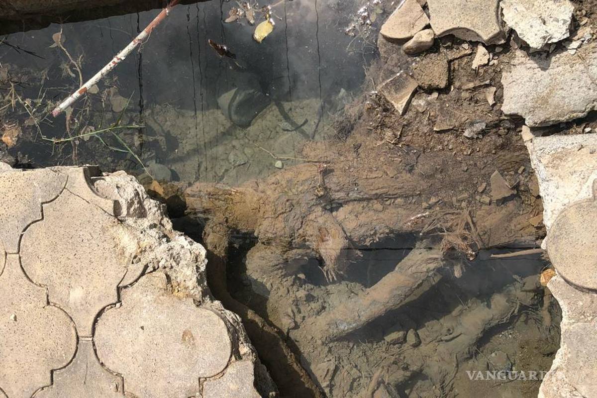 Fuga de agua lleva más de 45 días, en Saltillo