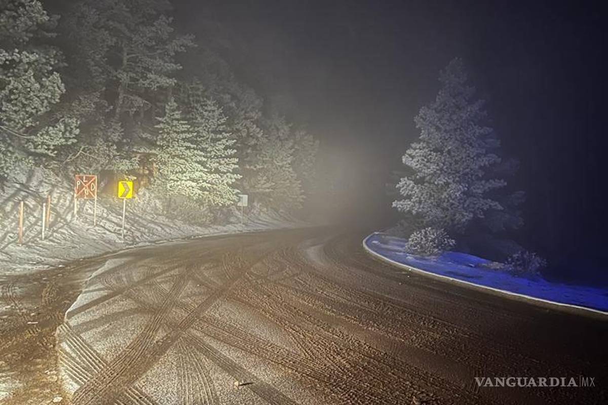 Reportan autoridades caída de aguanieve en Arteaga