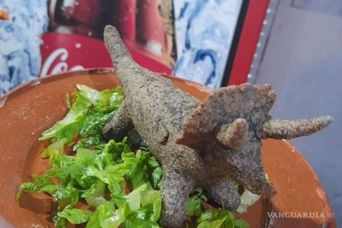 Las dinoquesadillas de San Antonio de las Alazanas se convierten en tendencia