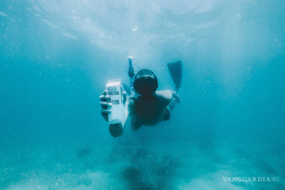 Día Mundial de los Océanos, ¿cómo podemos salvarlos desde nuestras casas?