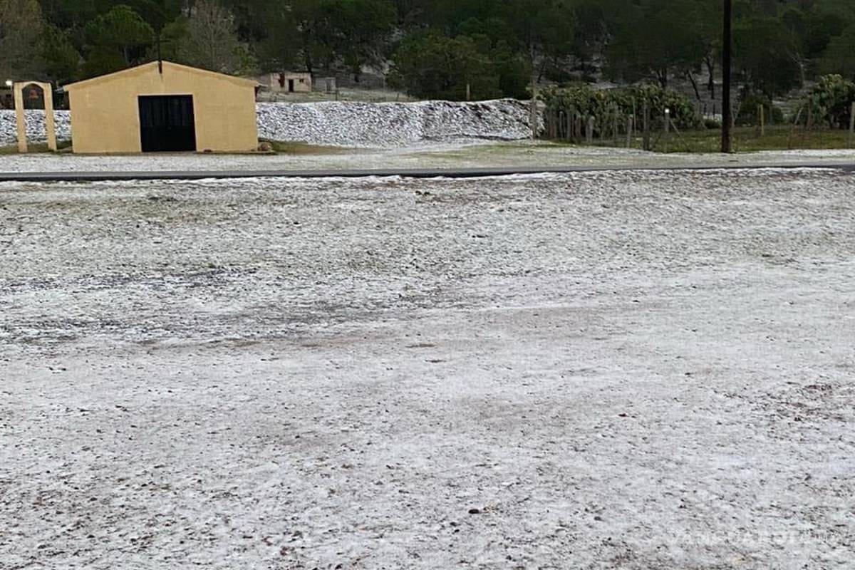 Reportan caída de aguanieve en Galeana, Nuevo León
