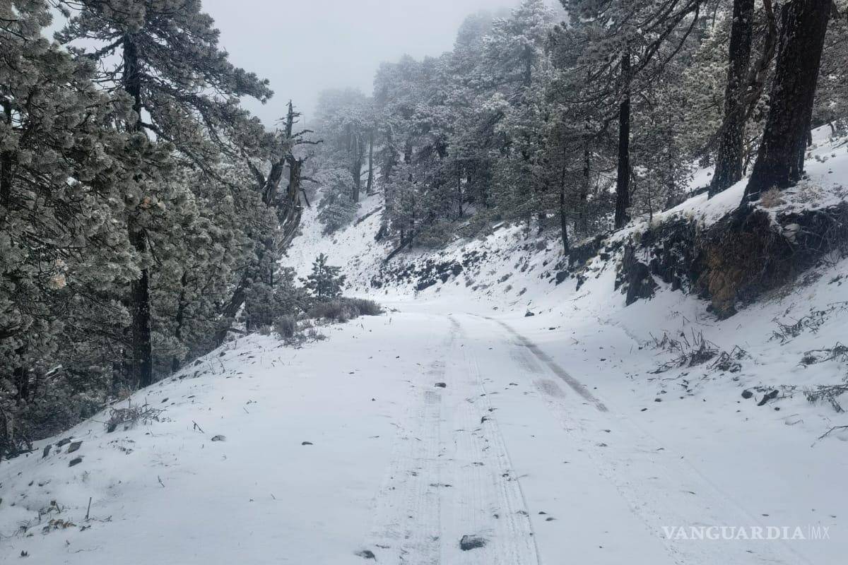 Nieve y aguanieve cubren al sur de Nuevo León; familia queda varada
