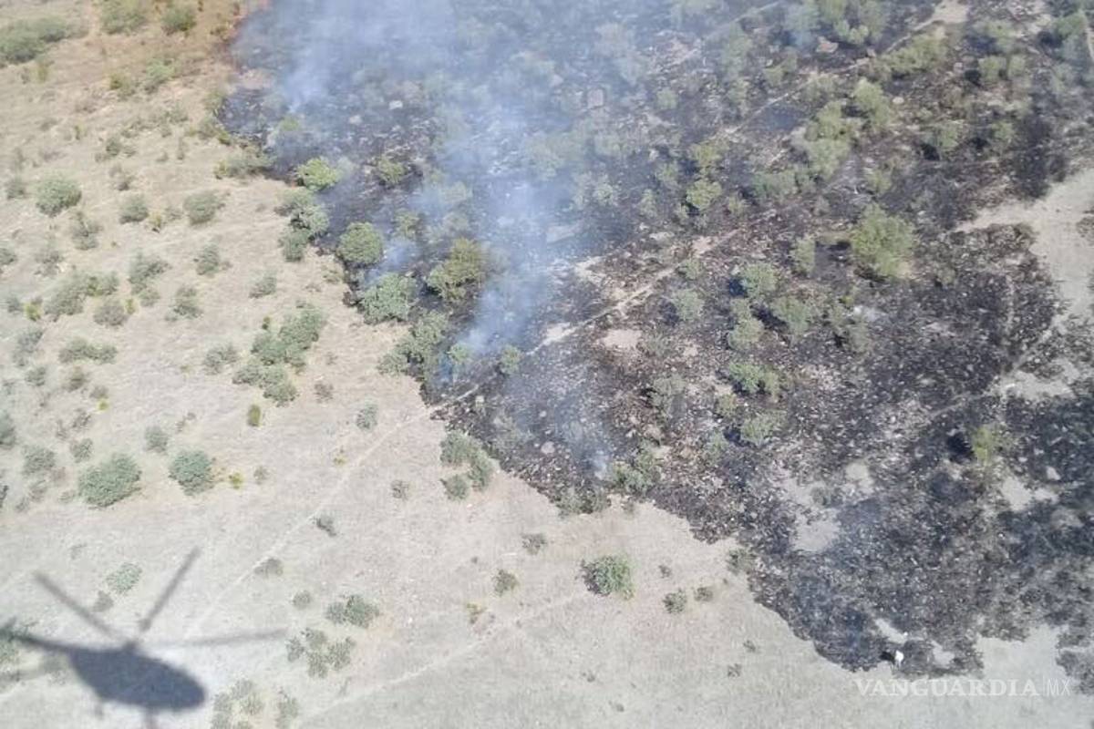 Corrige Conafor incendio no se registra en Maderas del Carmen, Ocampo Coahuila