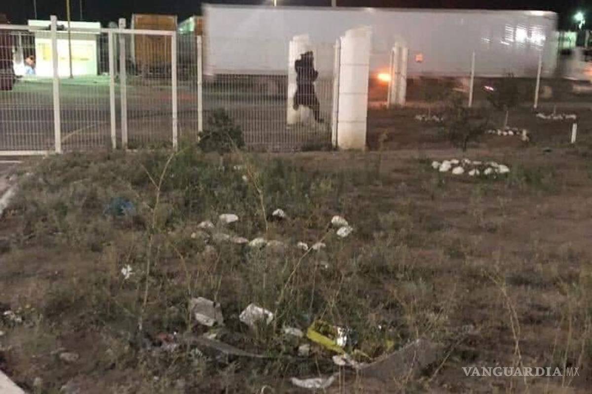 El oso solitario que vaga por los parques industriales de Derramadero, Región Sureste de Coahuila