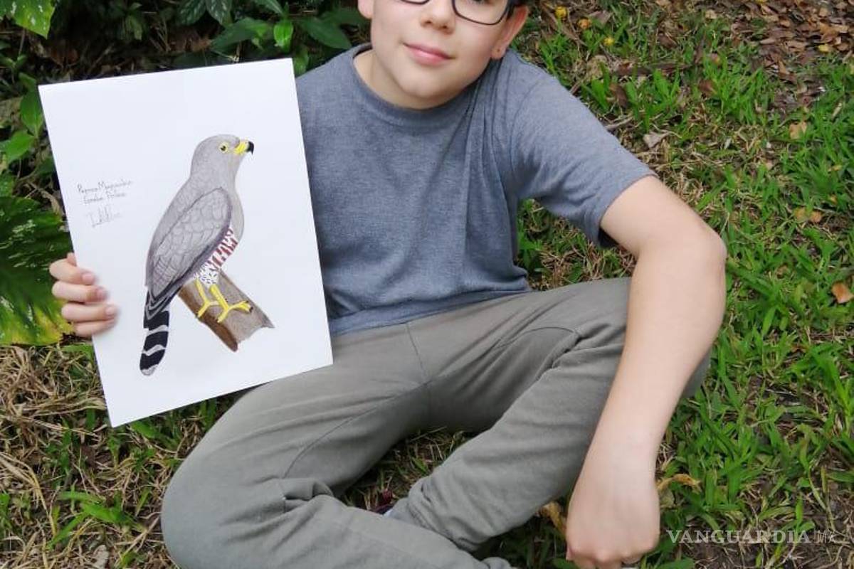 $!En esta foto de agosto de 2020 proporcionada por Johana Reyes Herrera, Jacobo Rendón, de 14 años, posa con su ilustración de un halcón en la carretera en su patio trasero en El Carmen de Viboral, Colombia. Rendon ha estado trabajando en una guía de aves fotográfica e ilustrada que planea donar a un centro cultural local. AP/Johana Reyes Herrera