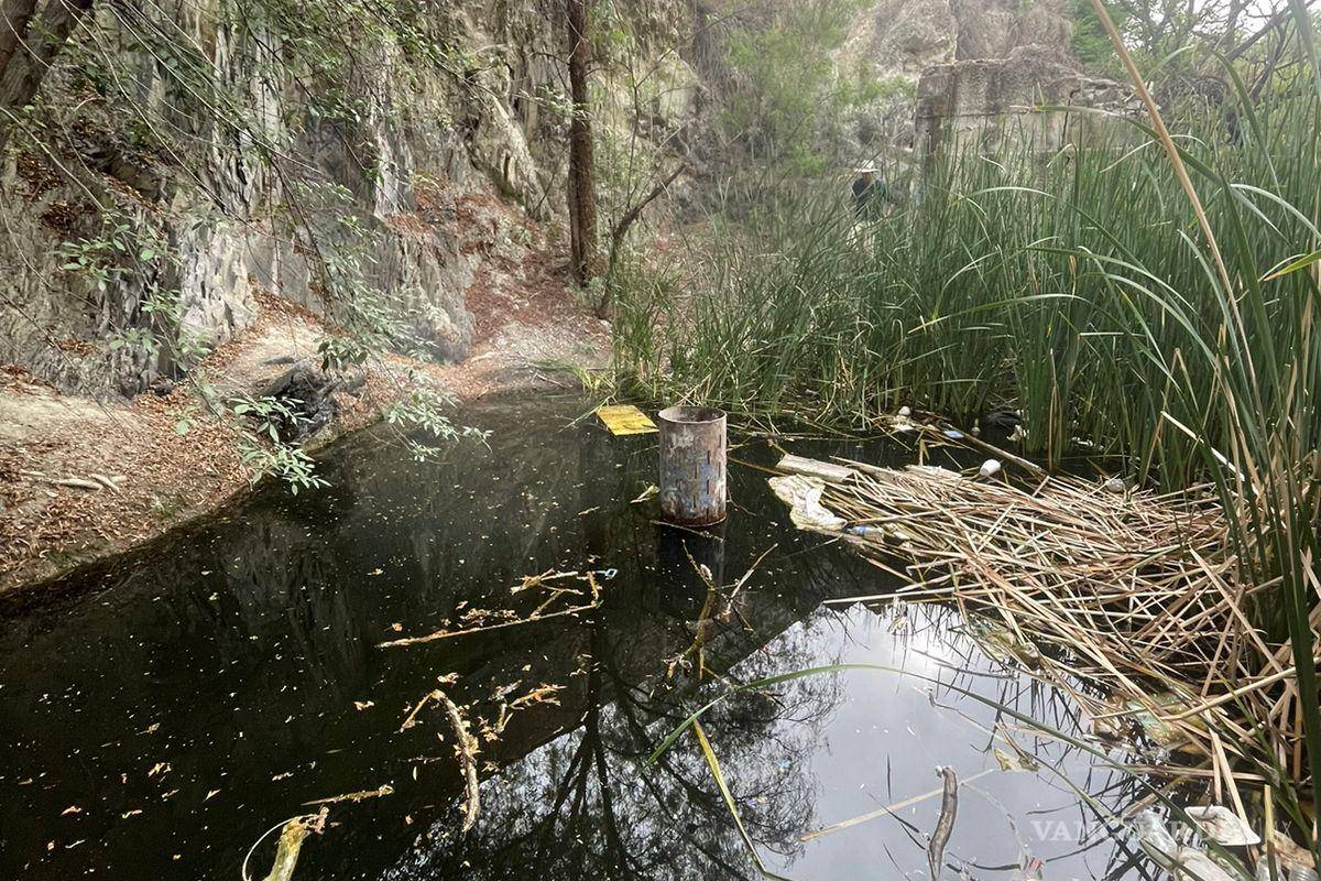 Alto grado de contaminación del Pozo Azul vuelve letal entorno para Carpita de Saltillo