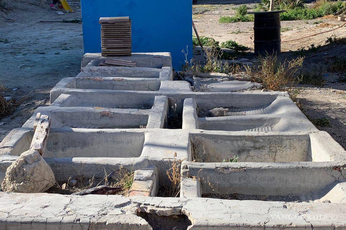 ¿Conoces el barrio bravo del centro de Saltillo? Estas son las vecindades de la Maclovio Herrera