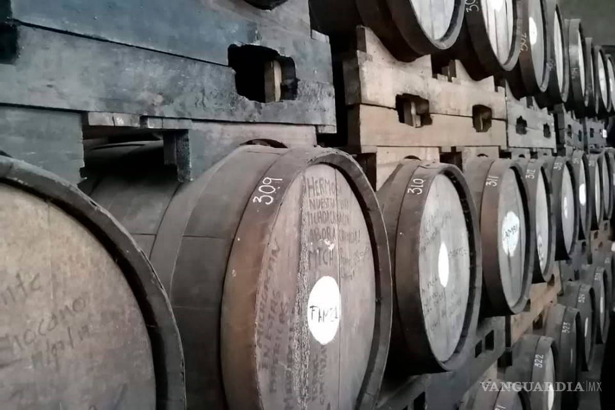 Sotol, bacanora y charanda, destilados mexicanos pelean por conseguir sitio en el mundo