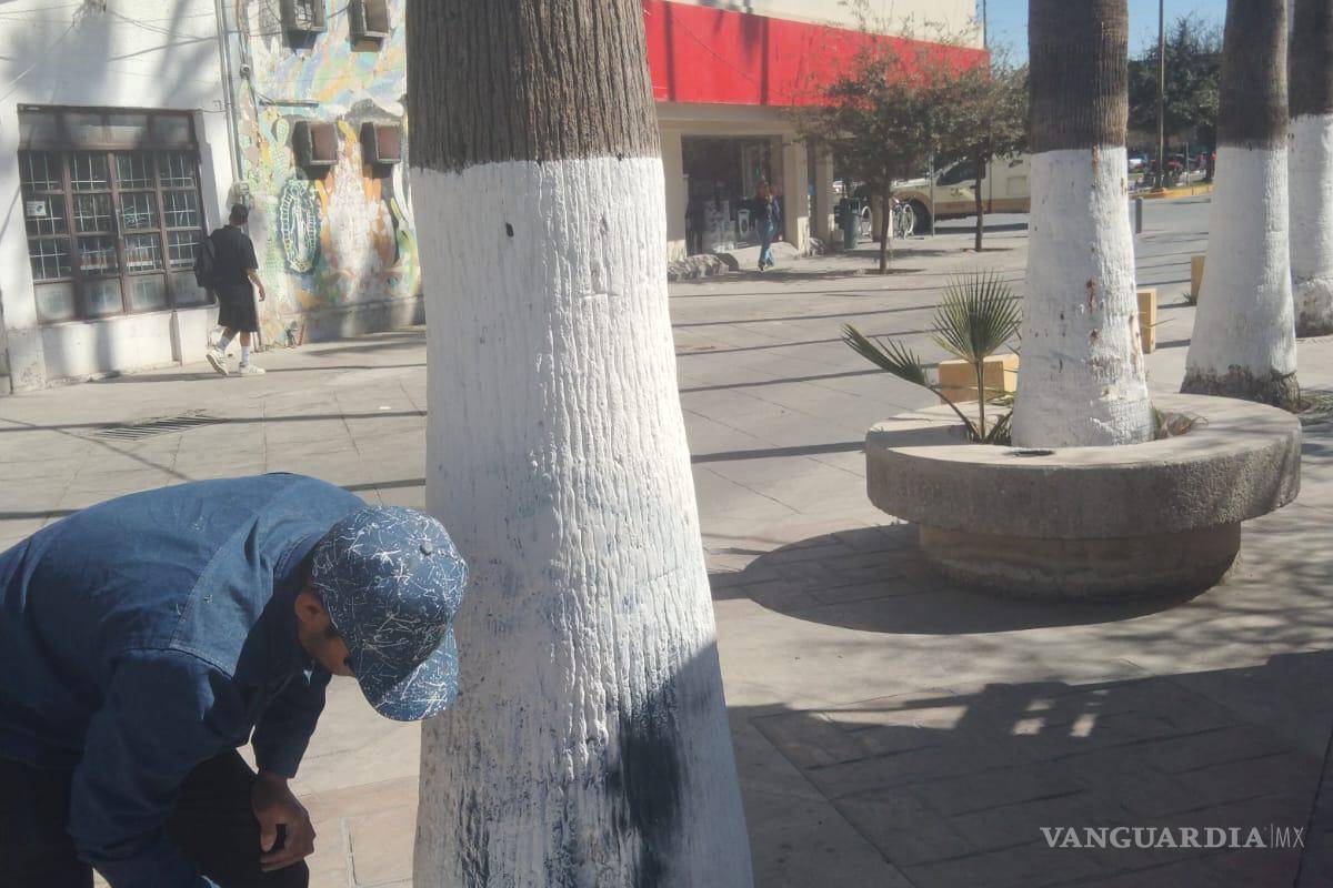 Servicios Públicos de Torreón brinda mantenimiento para el embellecimiento del primer cuadro de la ciudad