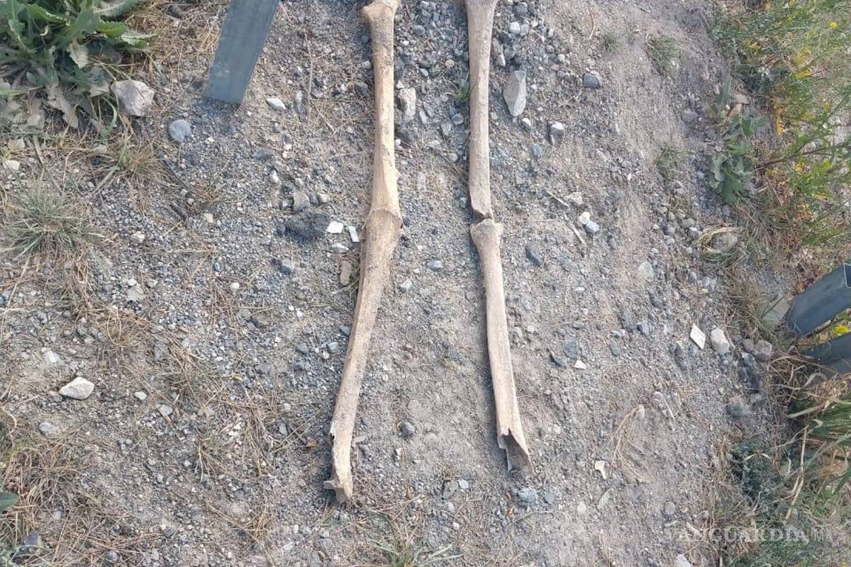 En Saltillo halla restos humanos mientras trabaja