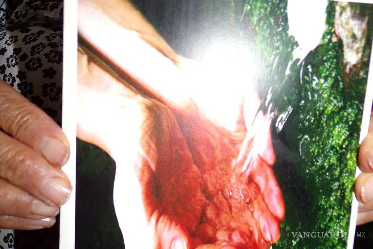 ‘El Inge’ Destenave: incansable guardián del agua y sus mantos en Saltillo