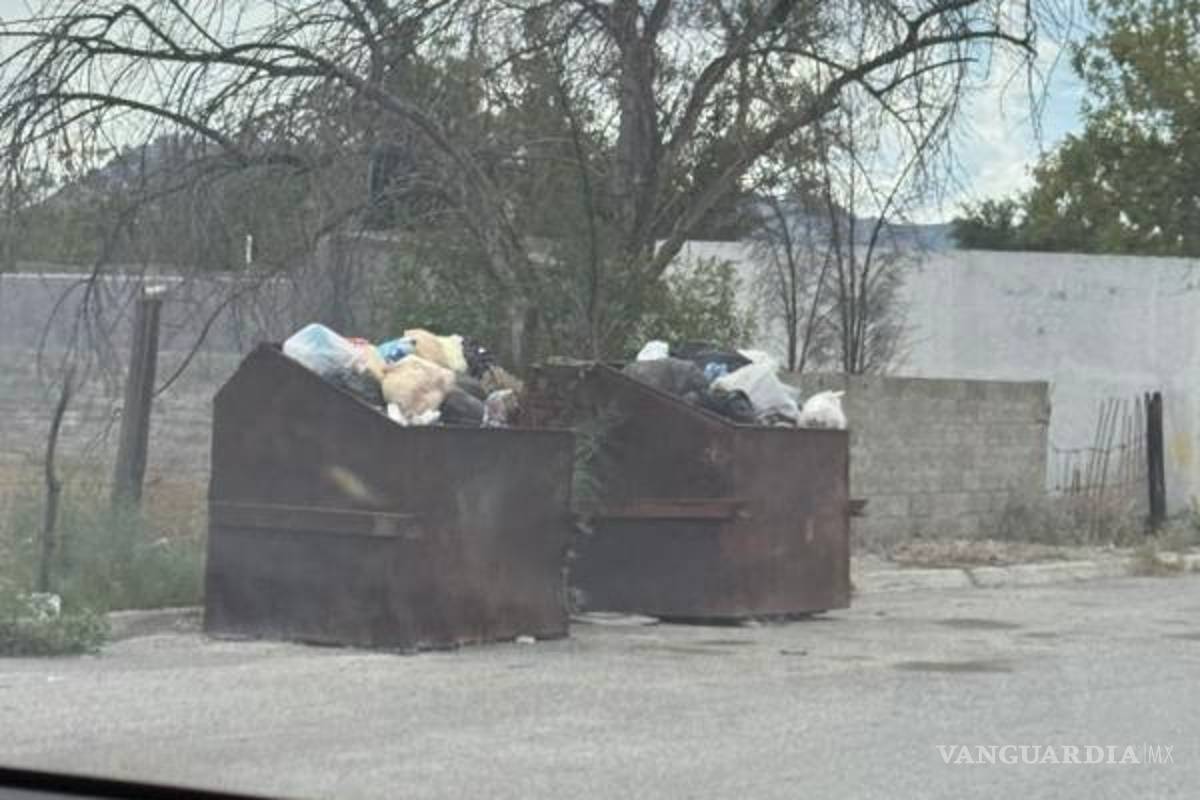$!La presencia de animales entre los desechos preocupa a familias de varias colonias.
