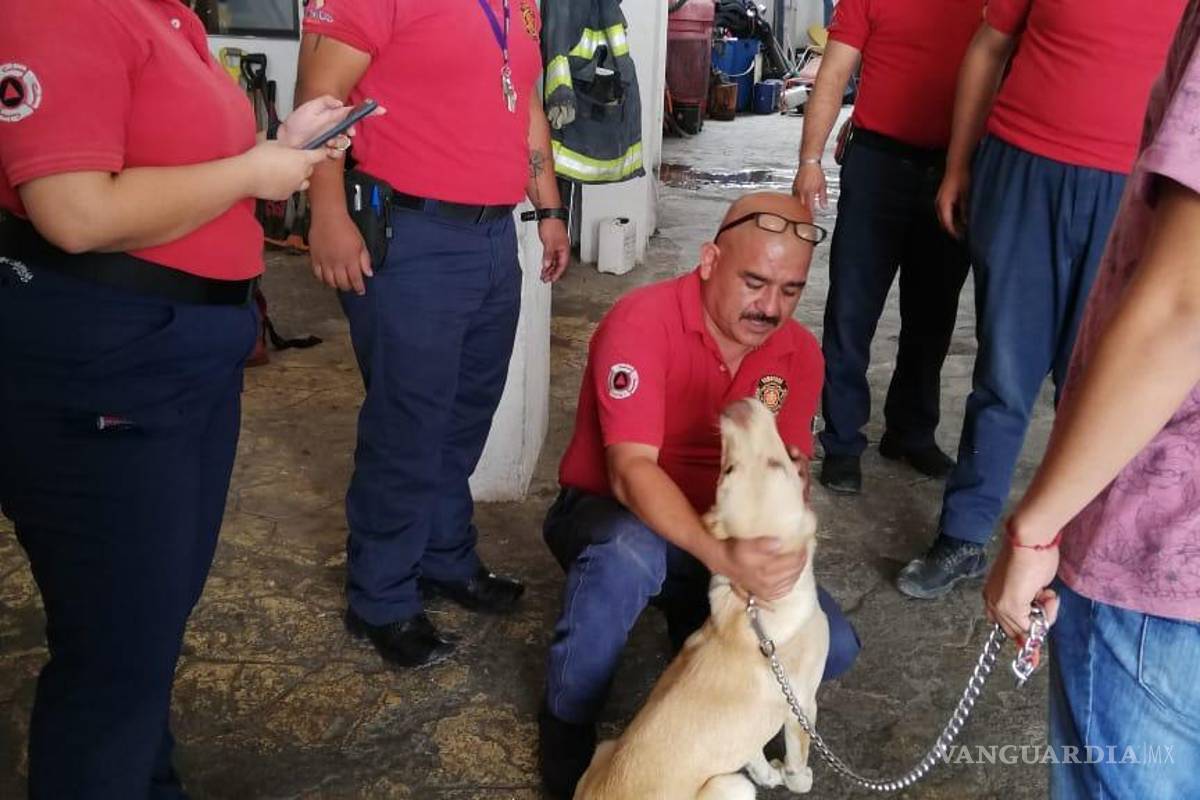 Bomberos de Ramos Arizpe salvan a perro de morir ahogado con un hueso