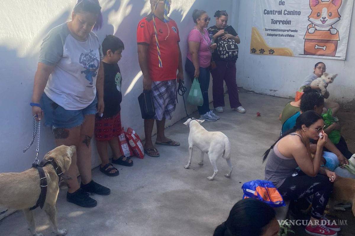 $!Personal veterinario atendió a 51 animales durante la jornada conmemorativa del Día Mundial de los Animales.