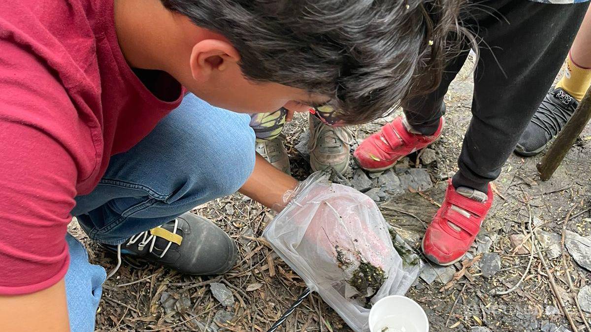 Alto grado de contaminación del Pozo Azul vuelve letal entorno para Carpita de Saltillo