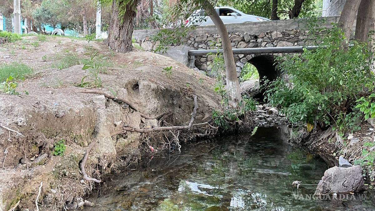 Alto grado de contaminación del Pozo Azul vuelve letal entorno para Carpita de Saltillo