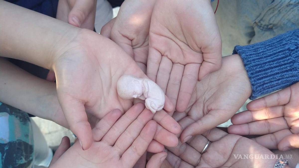 Ofician misa contra aborto frente al Hospital General de Saltillo