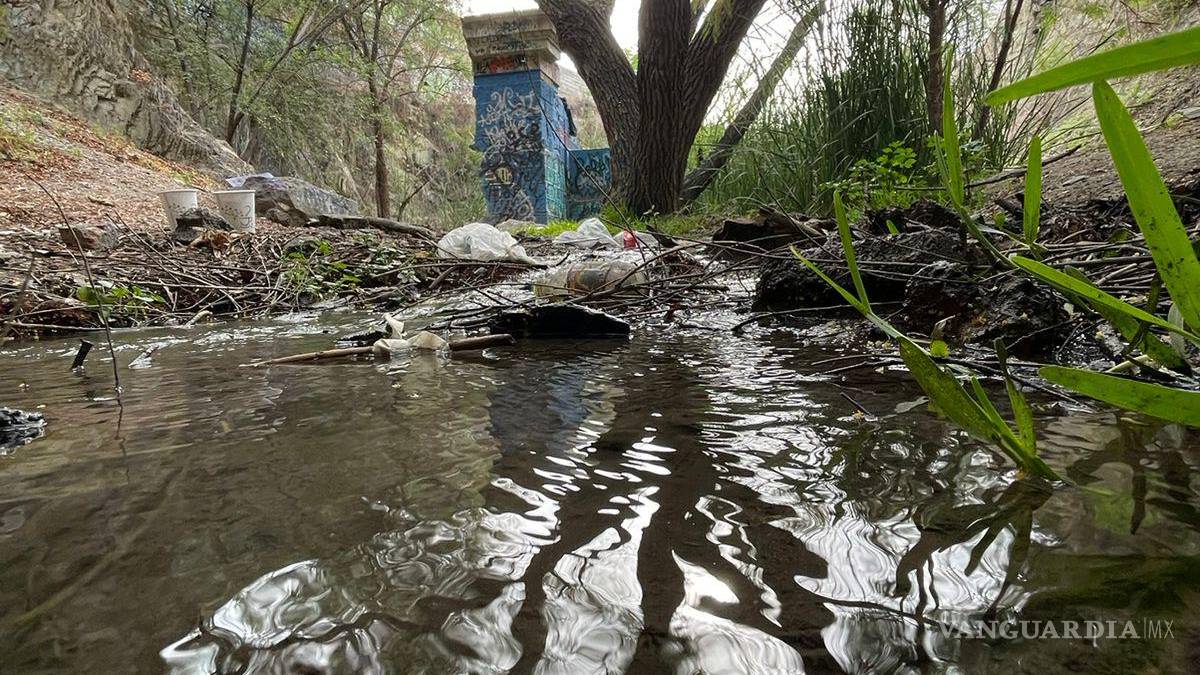 Alto grado de contaminación del Pozo Azul vuelve letal entorno para Carpita de Saltillo