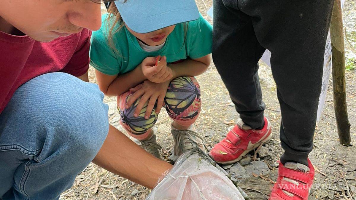 Alto grado de contaminación del Pozo Azul vuelve letal entorno para Carpita de Saltillo