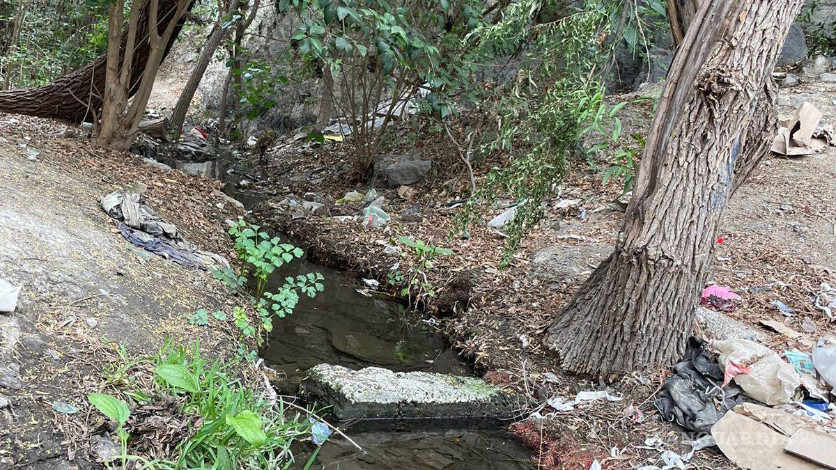 Alto grado de contaminación del Pozo Azul vuelve letal entorno para Carpita de Saltillo