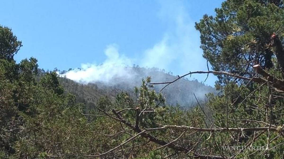 Reportan nuevo incendio en Arteaga, a la altura del Cedrito en el Ejido el Tunal