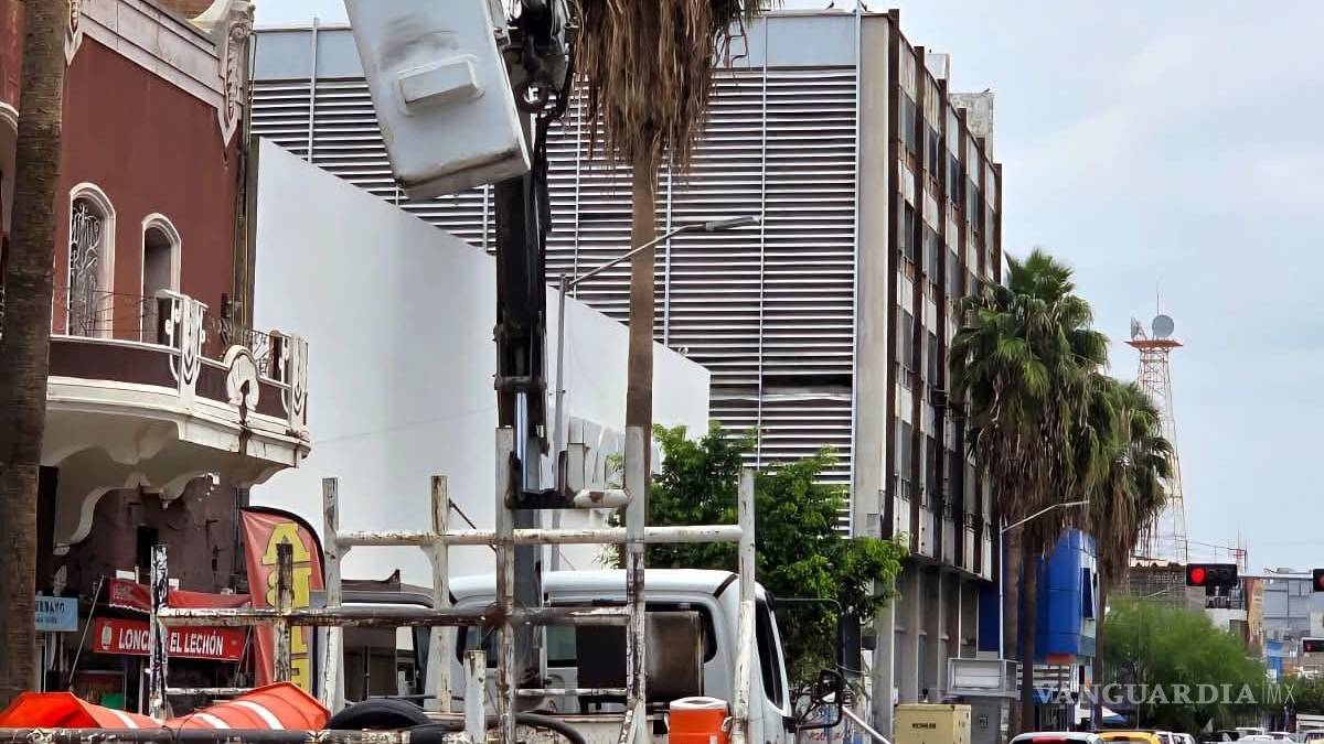 Dan mantenimiento preventivo a semáforos en el Centro de Torreón