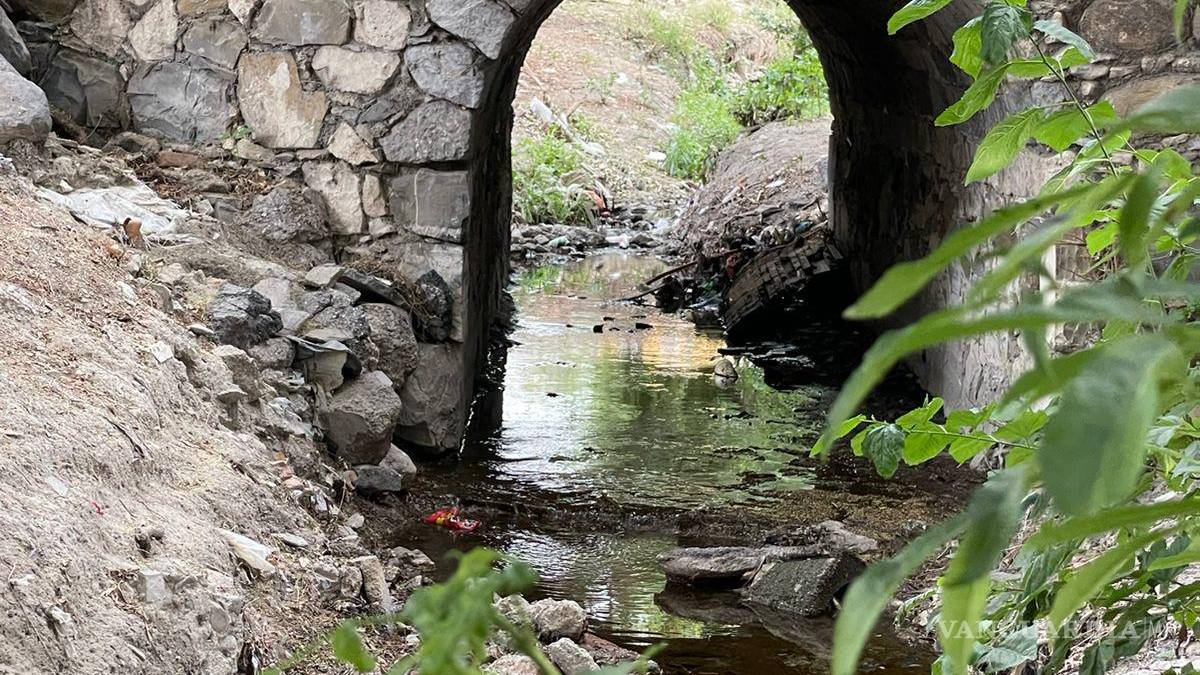 Alto grado de contaminación del Pozo Azul vuelve letal entorno para Carpita de Saltillo