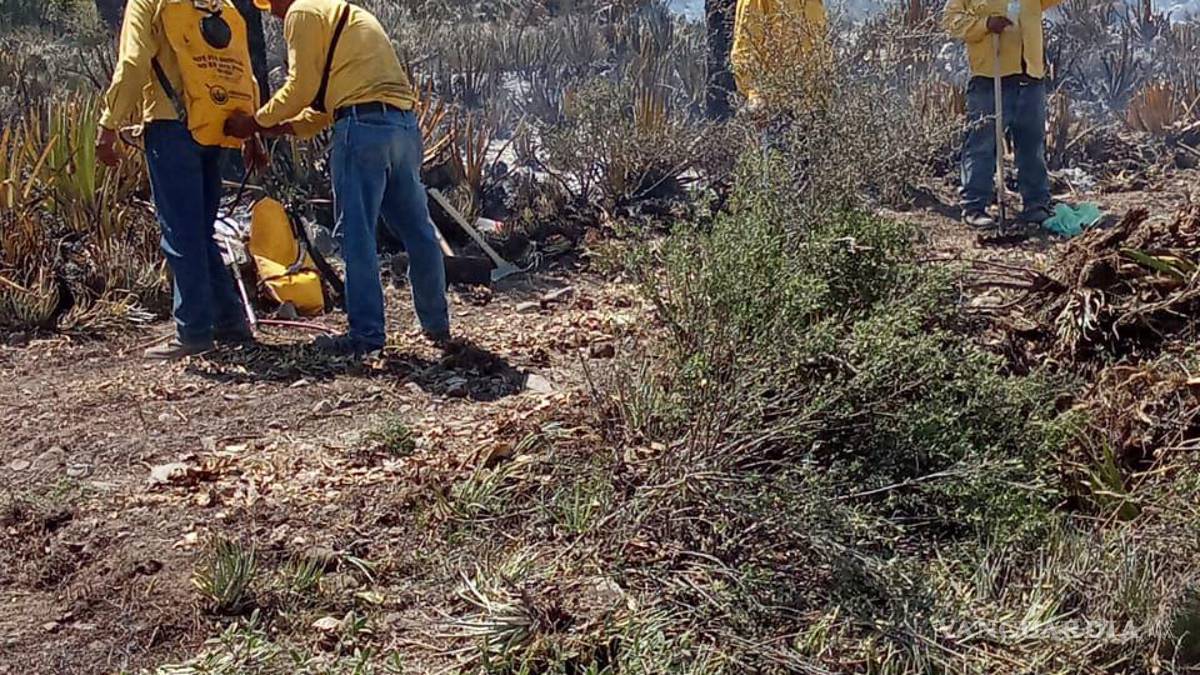 Al 80% liquidación en Nuevo León de incendio forestal iniciado en SLP