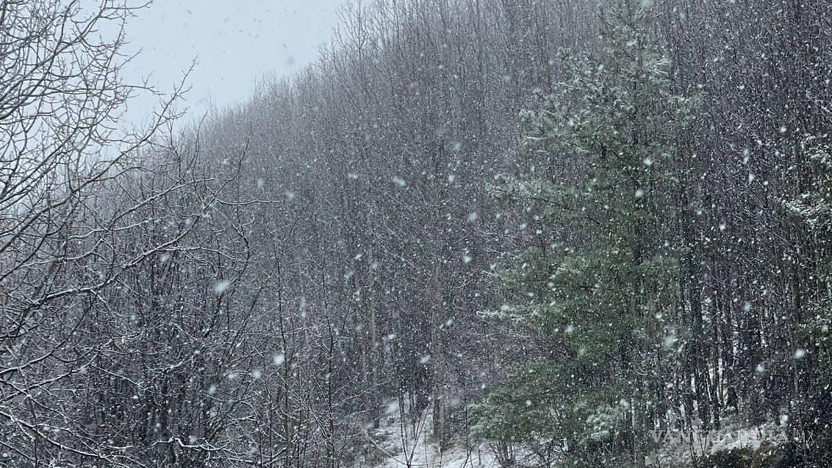 Reportan nieve en zonas altas de la sierra de Arteaga