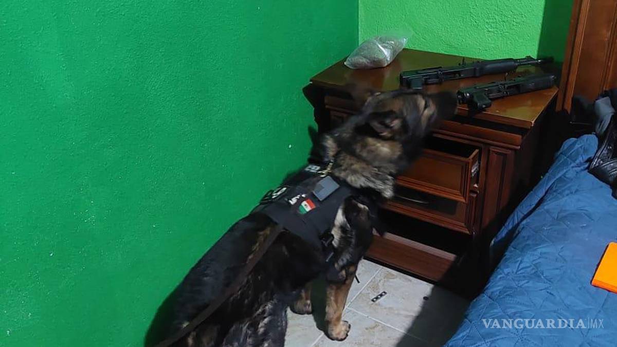 Cateo en Juárez, NL, deja aseguramiento de armas largas y camioneta con droga