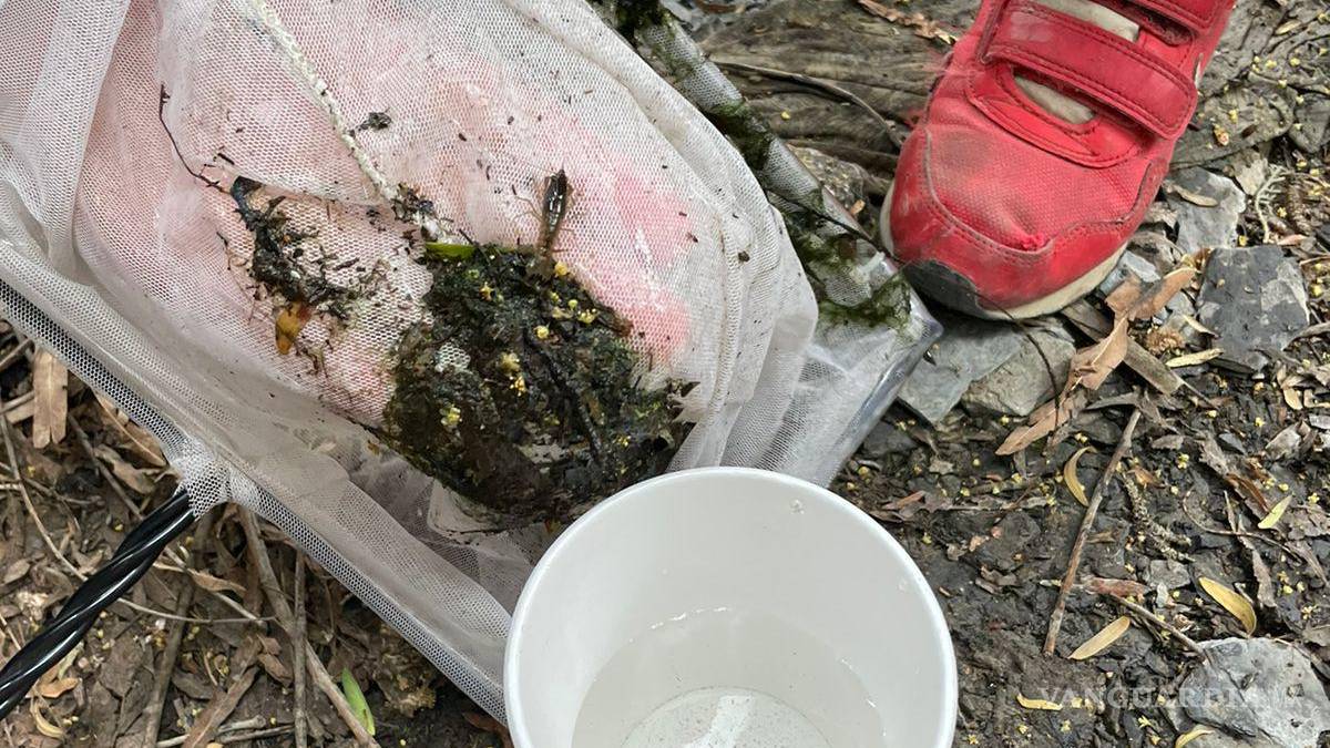 Alto grado de contaminación del Pozo Azul vuelve letal entorno para Carpita de Saltillo