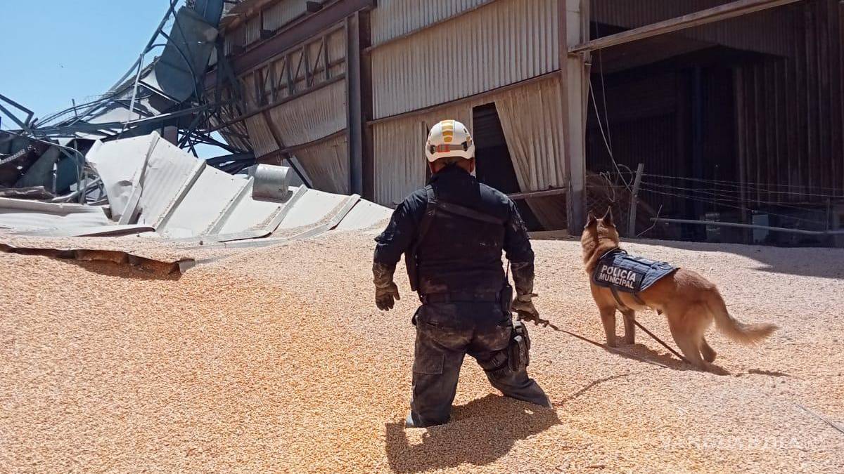 Derrumbe en silo de granos deja tres personas atrapadas; una no ha sido localizada