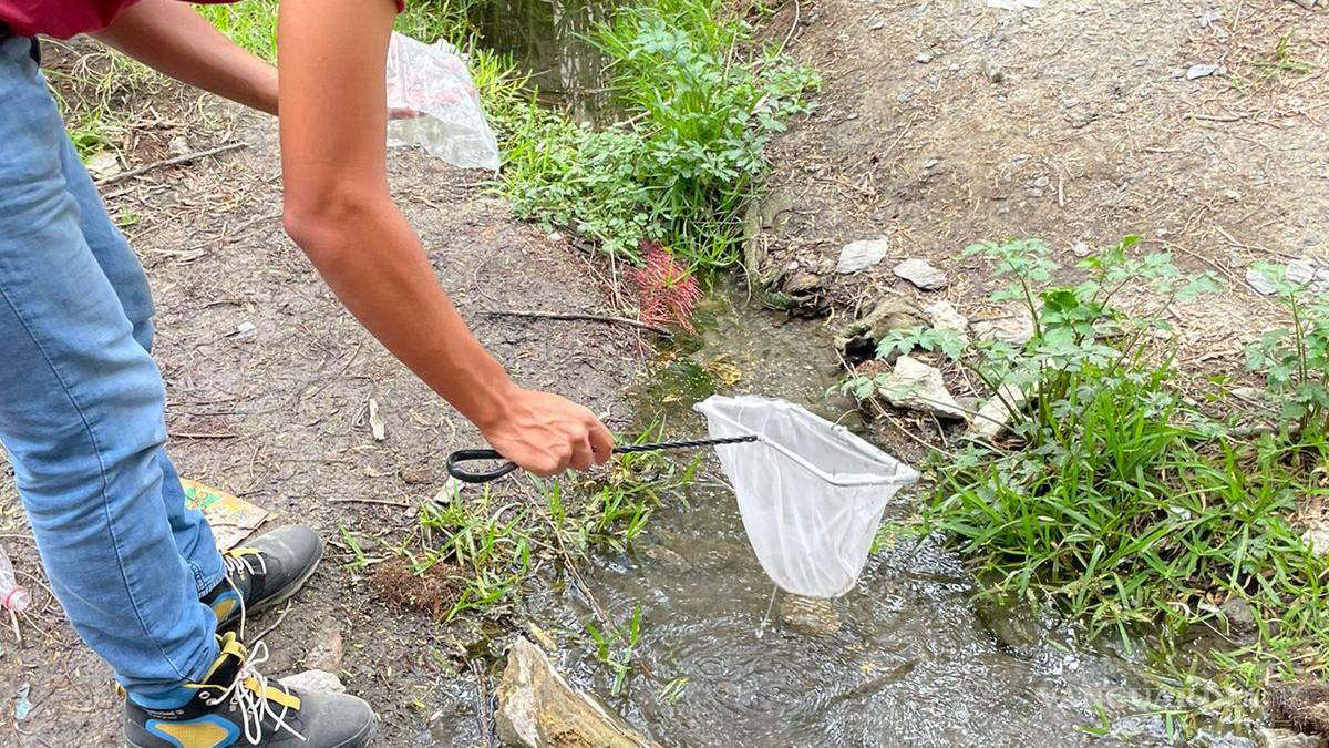 Alto grado de contaminación del Pozo Azul vuelve letal entorno para Carpita de Saltillo
