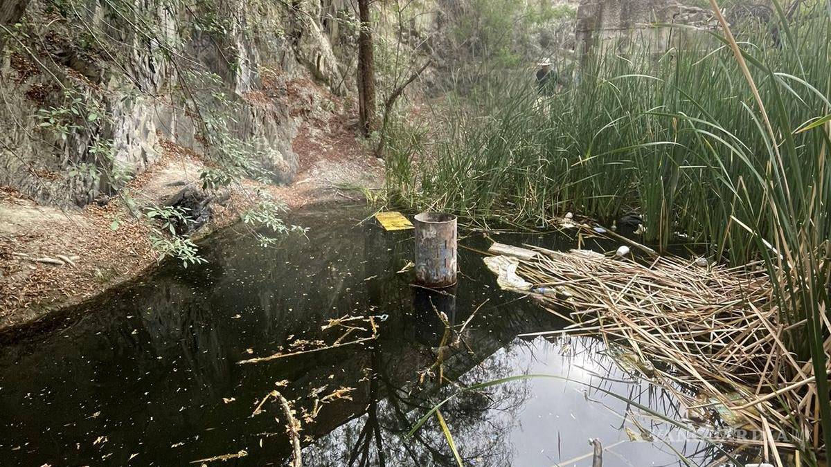 Alto grado de contaminación del Pozo Azul vuelve letal entorno para Carpita de Saltillo