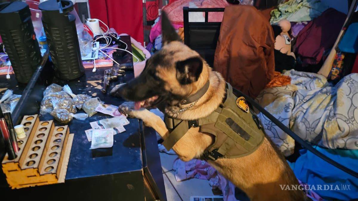 Detienen a dos presuntos narcovendedores tras cateo en Monterrey