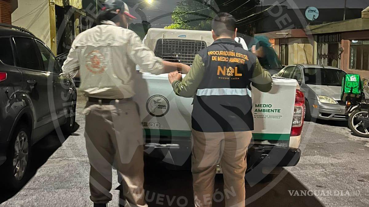 Avanzan investigaciones en el caso Pamela Yajaira; catean dos viviendas en Gpe, Nuevo León