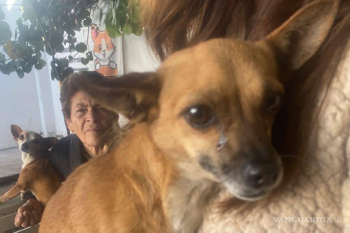 $!La vacunación antirrábica es una de las principales acciones preventivas del Municipio.