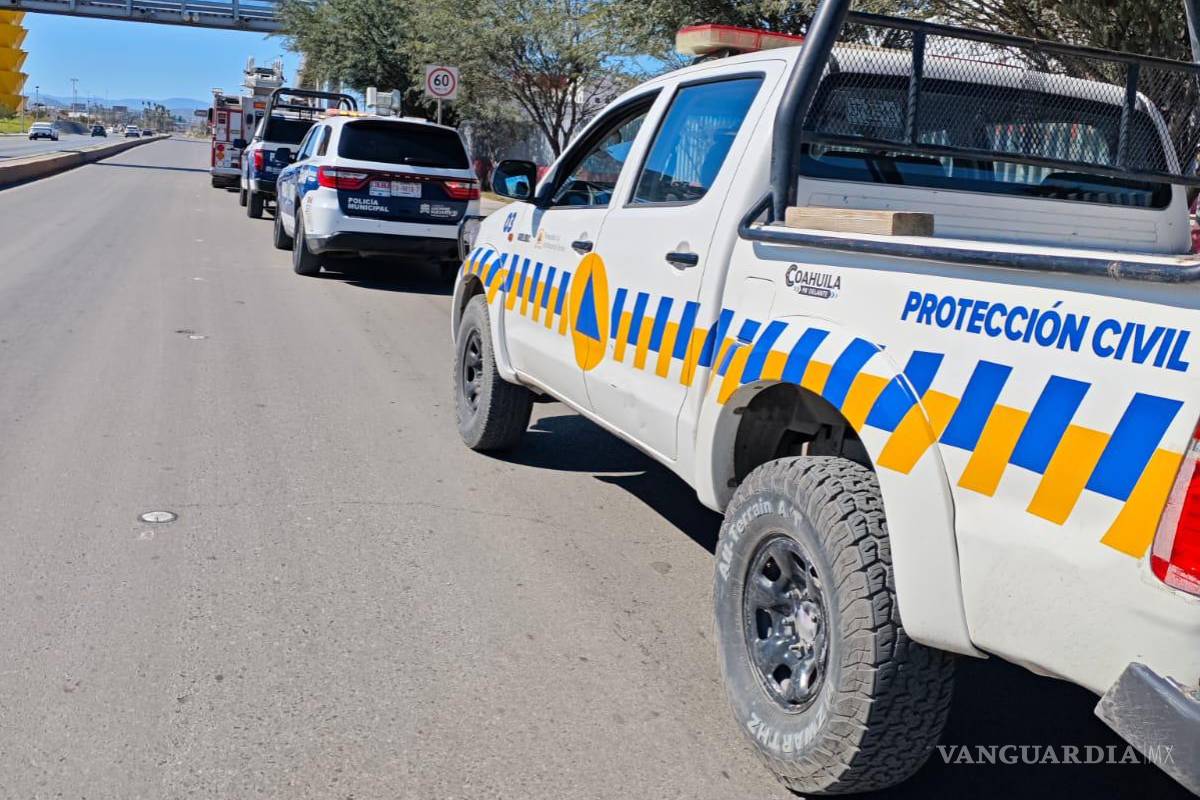 $!Las revisiones permiten detectar a tiempo estructuras que podrían representar un riesgo para peatones y automovilistas.